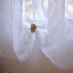 - Bienvenue Chez Perlane Et Yoann - Balneo Appartement